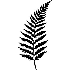 Modern Botanical Fern Line Vectors