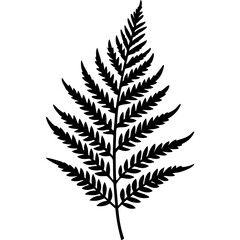 Modern Botanical Fern Line Vectors