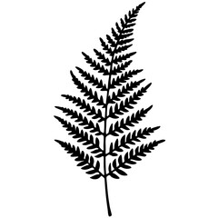 Modern Botanical Fern Line Vectors
