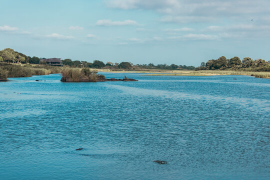 River basin of the Crocodile River in Kruger National Park. South Africa