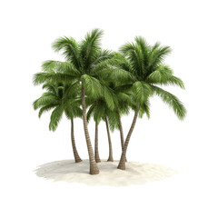 Obraz premium Lush Tropical Palm Trees on a Secluded White Sand Island