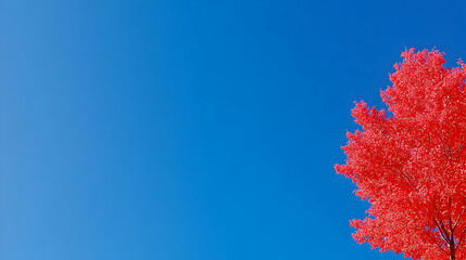 Autumn Tree Illustration