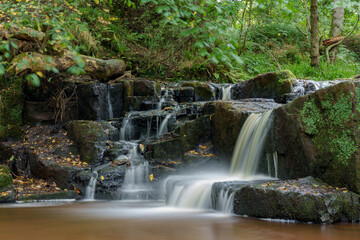 Naklejka premium Hareshaw Linn
