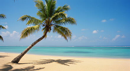 On a tropical beach, a palm tree provides a picturesque view of the ocean, framed by the vibrant blue sky.