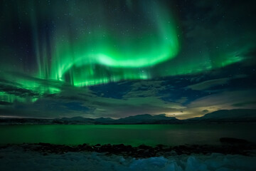 Naklejka premium Aurora borealis northern lights, lapland, Winter landscape Majestic northern lights dance in starry sky 