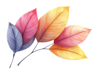 Colorful 3D Leaves Decoration Isolated on White Background