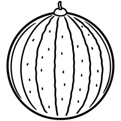 watermelon line art vector