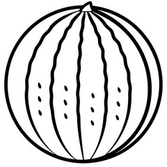 watermelon line art vector