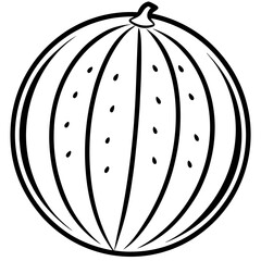 watermelon line art vector