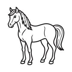 Obraz premium Cute horse animal 