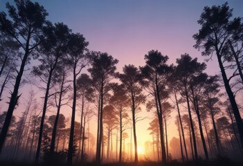 Naklejka premium Dense forest with blue silhouette of trees against sunset sky, wildlife, sunset, silhouettes