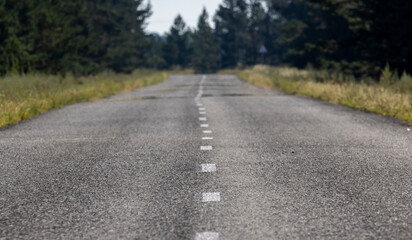 asphalted gray road with markings leading into the forest
