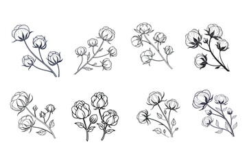 Elegant cotton flowers abstract line art contour drawings in a minimalist style. Perfect for modern decor, digital designs, and seamless patterns. Ideal for creative and stylish projects.