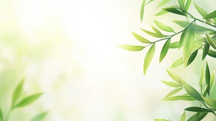 Fototapeta premium Delicate willow branches in fresh green, soft morning light, serene and minimalist Qingming Festival scene.