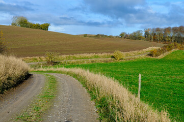Fototapeta premium A winding dirt track gently curves through vibrant green fields and soft brown hills under a blue sky adorned with clouds, embodying tranquility.