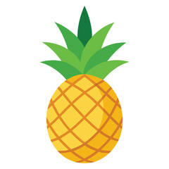 Pineapple fruit. Vector illustration