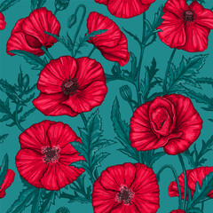 Seamless pattern with hand drawn Poppy flowers. Vector illustration of summer poppy flowers, buds and leaves. Botanical colored drawing of blossom for textile design. Vintage engraved style