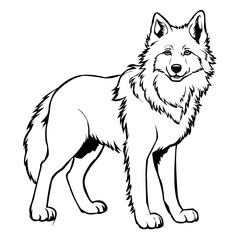 Wolf vector art design