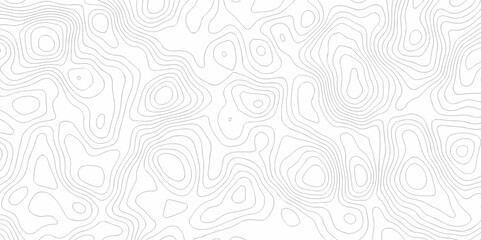 Topographic wave grid map. Geographic mountain relief. Abstract lines background. Topo contour map on white background, Topographic contour lines map seamless pattern.
