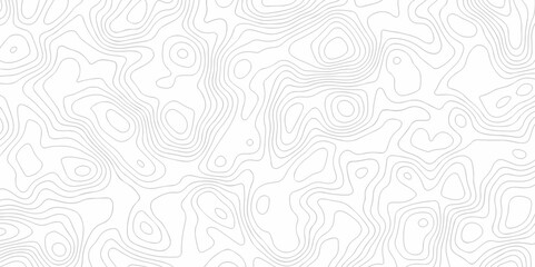Topographic wave grid map. Geographic mountain relief. Abstract lines background. Topo contour map on white background, Topographic contour lines map seamless pattern.