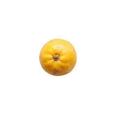 A Single Ripe Yellow Grapefruit, Overhead Studio Shot on Black Background Citrus Fruit Photography