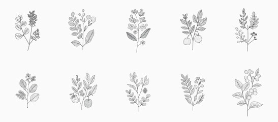 Fototapeta premium A set of outline clip-art branches isolated on white. A collection of twigs with leaves and berries as design elements. AI-generated doodle illustrations