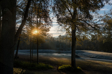 Fototapeta premium Morning Frost, Sun Glow and Golden Trees in Tallahassee, Florida