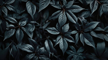 Dark abstract background with matte black leaves, natural textures and stylish minimalism. Natural design. Black background. 3D illustration