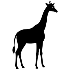 Giraffe silhouette