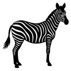 Zebra silhouette