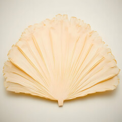 Pale Yellow Leaf Illustration