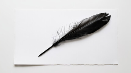 Create a minimalist scene with a black ink feather pen resting symmetrically on a pristine white sheet of paper. Soft lighting highlights the pen’s details, evoking calm, poised readiness for writing.