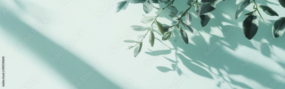 Poster Delicate leaves casting shadows on a mint green background create a serene and calming atmosphere in natural light