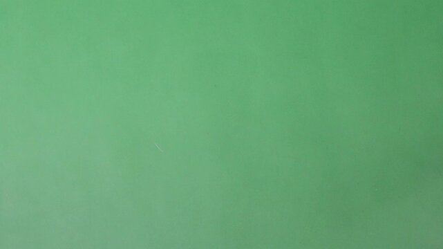 Slow Motion of white feathers or bird wings falling against green screen background studio. Slowmotion of soft feather falling down in the air slowly to ground on greenscreen backdrop chroma key.