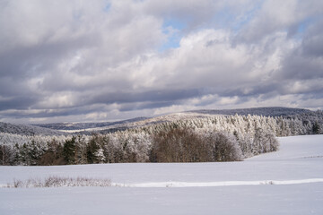 winter landscape with snow