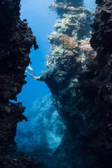Freediver swims among underwater canyon in blue ocean near Menjangan island, Bali.