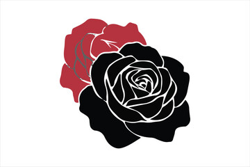 Beautiful Rose vector illustration image