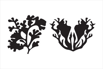 Beautiful Sea Plant Vector illustration image