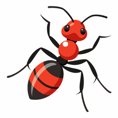 set of insects
