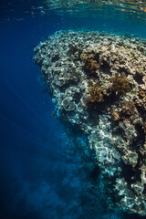 Reef with corals underwater in tropical blue ocean.