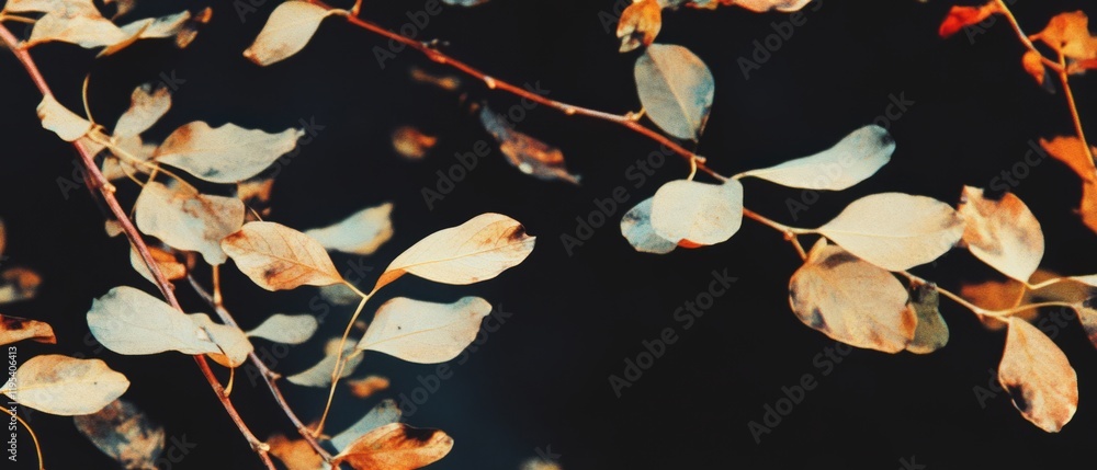 Aufkleber colorful autumn leaves dancing gently on branches in a tranquil setting during late afternoon light