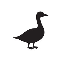 Black Duck silhouette vector illustration on white background.

