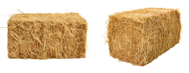 Square hay bale for agriculture farming and animal feed isolated on a white or transparent background png