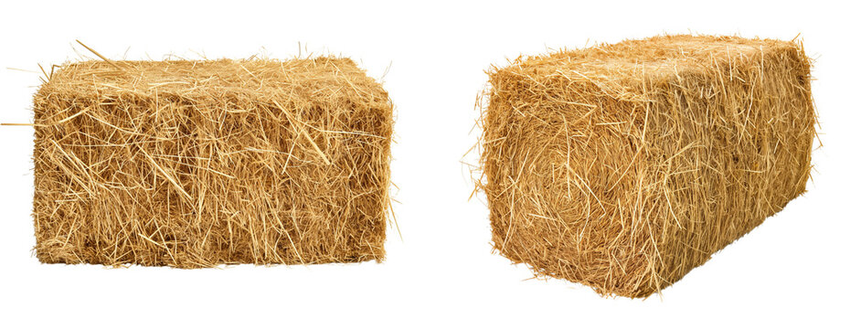 Square hay bale for agriculture farming and animal feed isolated on a white or transparent background png