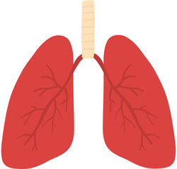 Lungs Illustration
