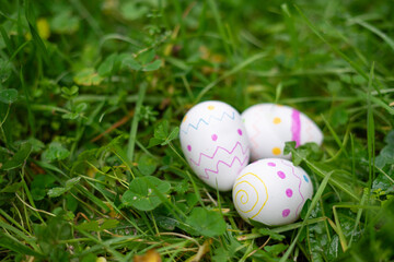 Hand-painted easter eggs hiding in green grass