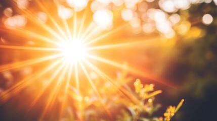 Bright sunlight bursts through foliage, creating a bokeh effect and lens flare.