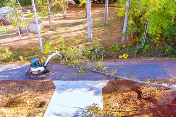 Work crew uses machinery to remove large tree blocking road after hurricane in forested area