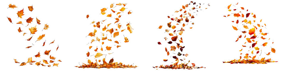 Falling leaves &ndash; The end of a season, symbolizing change, loss, or the conclusion of a cycle. Isolated on Clear White Background Highly Detailed