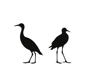 Fototapeta premium Birds silhouette white background 